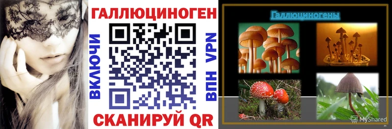 Галлюциногенные грибы Cubensis  Константиновск 